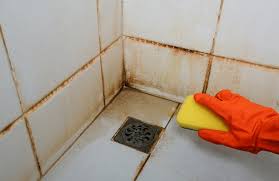 Say Goodbye to Mould: How AIRsteril Offers a Modern Solution to a Growing Problem