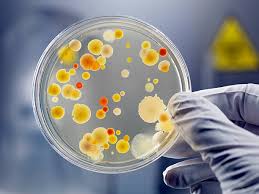 The Importance of Clean Air and Sanitized Surfaces in Life Science Research