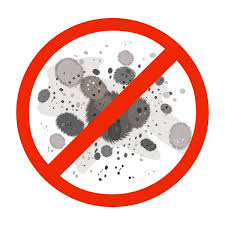 Mould and Your Health: What You Need to Know (and How to Stop It)
